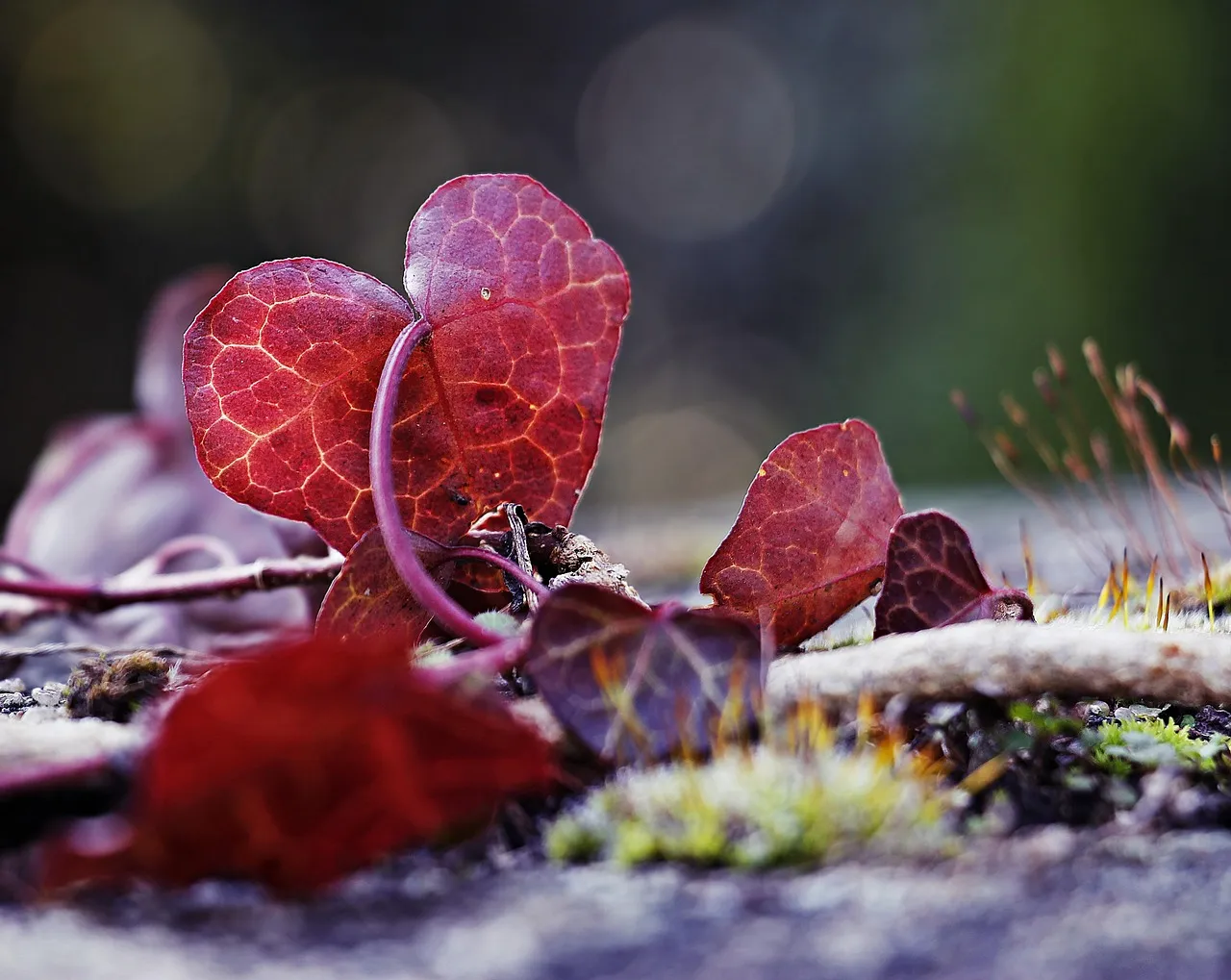 CURSO-SONIDO-EN-ARTES-ESCENICAS-LA-CIA-DE-LA-LUZ- CURSO-SONIDO-EN-ARTES-ESCENICAS-LA-CIA-DE-LA-LUZ-